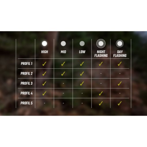 Thumbnail 11