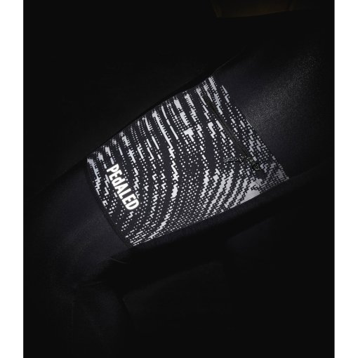Thumbnail 10
